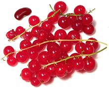 Dish of Ripe Redcurrant Berries