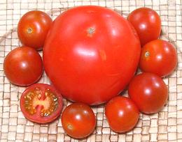 Cherry Tomatoes, Whole and Cut