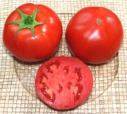Large Fresno Tomatoes