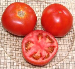 Regular Tomatoes, Whole and Cut
