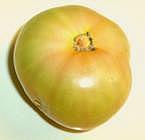 Tomatoe