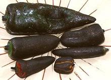 Blackened chilis