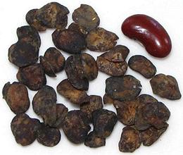 Fermented Locust Bean Seeds