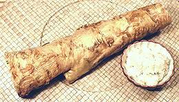 Root