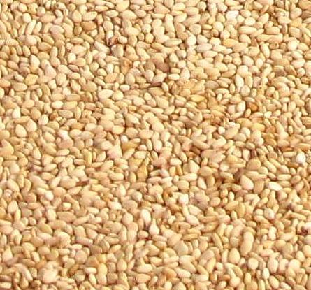 Enlarged Image of Toasted Sesame Seeds
