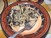 Dish of Stewed Mopane Worms