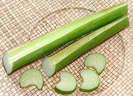 Colocasia Stems and Slices