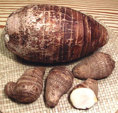 Taro Corms, Giant & Regular