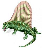 Dimetrodon Drawing