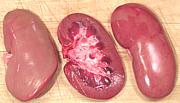 Pork Kidneys