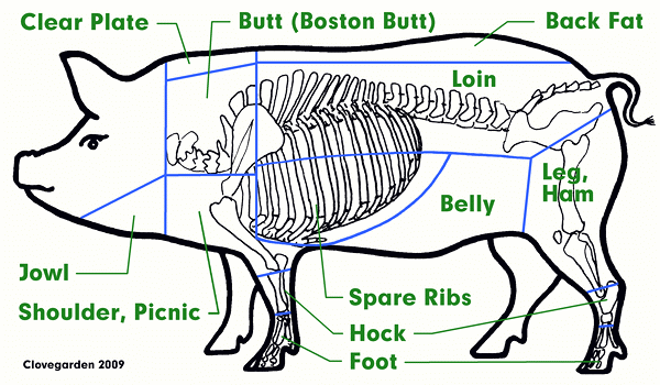 North American Pork Cuts