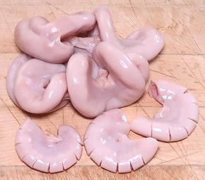 Pig Uterus, cleaned and cut