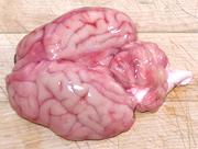 Whole Lamb Brain