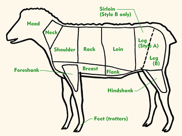 Cuts Of Mutton Chart