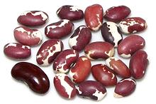 White/Purple Aztec Beans