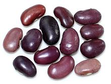 Purple Ayocote Beans