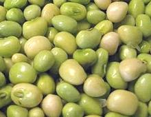 Acre Peas, fresh