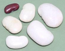 Dried White Runner Beans