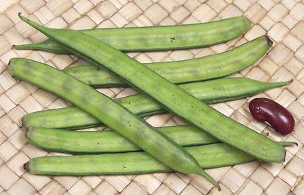 Whole Cluster Beans