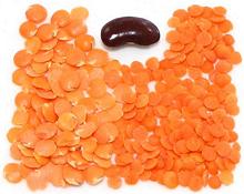 Common Red lentils (dal)