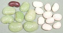 Small Lima Beans: dry, fresh