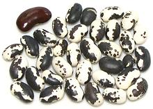 Dried Orca Beans