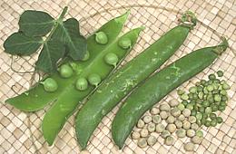 English Peas