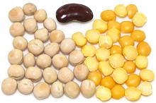 Yellow Peas, Whole and Split