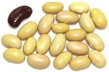 Dried Peruvian Beans