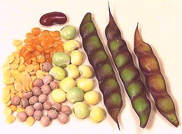 Pigeon Peas, Various Forms