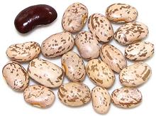 Dried Pinto Beans