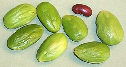 Shelled Sataw Beans