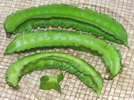 Fresh Winged Bean pods