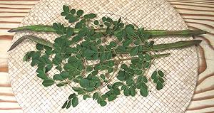 Moringa Pods & Leaves