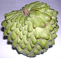 Whole Atymoya Fruit