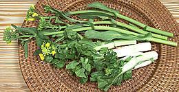 Two Choy Sum, Stems, Leaves, Flowers