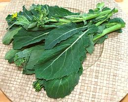 Rapini Stalks and Leaves