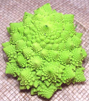 Head of Romanesco