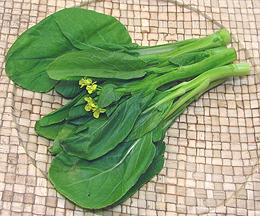 Yu Choy Mui Stems, Leaves