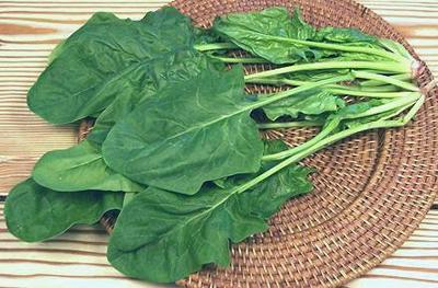 Savoy Spinach Leaves