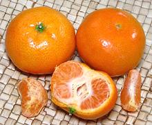 Whole and opened California Mandarin