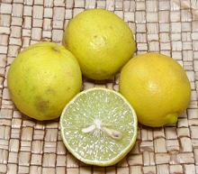 Whole and Cut Yellow Key Limes