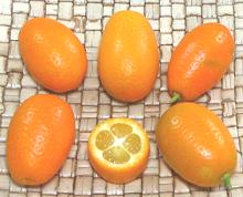 Whole and Cut Kumquats