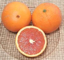 Whole and Cut Cara Cara Oranges