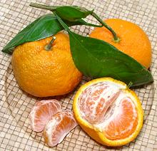 Whole and Partially Peeled Orange Satsuma Mandarin