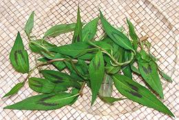Rau Ram Leafy Stems