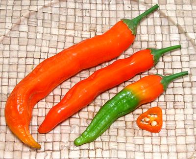 Whole and cut Aji Amarillo Chilis