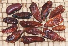 Real Bird Chilis from India