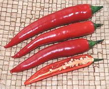 Fresh Red Cucumber Chilis