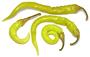 Long yellow Guindilla chilis